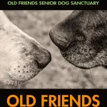 Old Friends A Dogumentary Poster