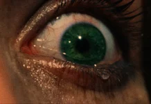 Photo: The Texas Chain Saw Massacre (1979) starring Marilyn Burns, Allen Danziger / Vortex - Filmdb.co.uk